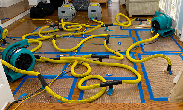Professional Flood Damage Restoration technician working in Durand, MI